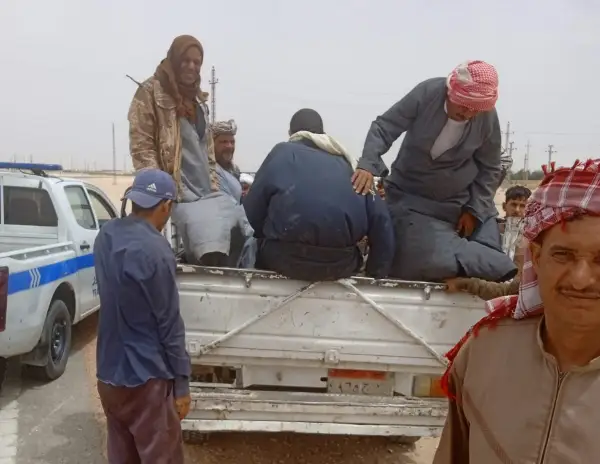 ضبط سيارة ربع نقل تُقلّ ركابًا بشكل مخالف في المنيا وتحمل 28 عاملًا دون تراخيص
