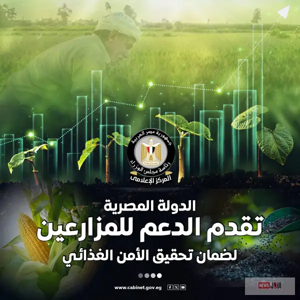 مصر تدعم الأمن الغذائي بـ 70 مليار جنيه: الزراعة التعاقدية وأسعار توريد المحاصيل تعزز دخل المزارعين