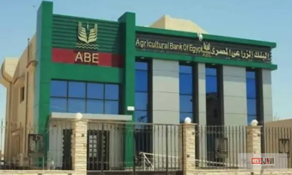 فتح باب التقديم في وظائف البنك الزراعي المصري 2025-2026: شروط التعيين، التقديم، والخطوات كاملة