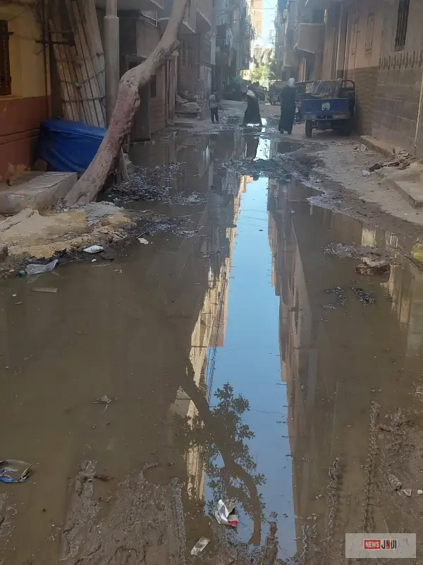 الصرف الصحي يغزو منازل شارع الجودة بالمنيا.. والأهالي: نطالب بإنهاء الأزمة قبل تفاقمها