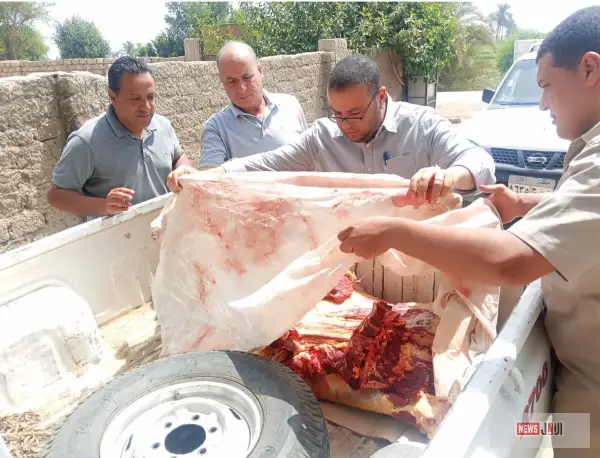 لحوم وأسماك وألبان فاسدة في الأسواق.. ماذا كشفت حملات التموين بالمنيا؟