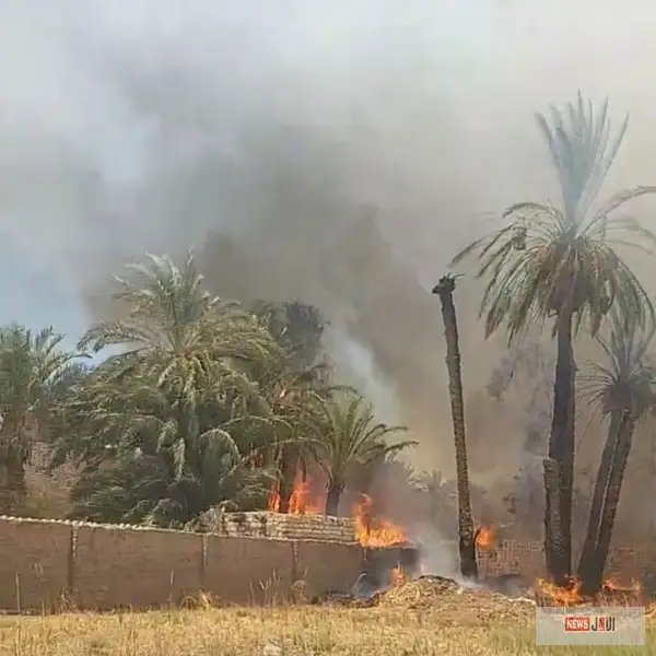 حريق يندلع بمنطقة زراعية في قرية عطف حيدر بالعدوة.. والحماية المدنية تكافح النيران