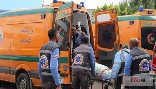 مصرع 3 أشخاص وإصابة 12 بينهم 3 أطفال في انقلاب ميكروباص بصحراوي المنيا