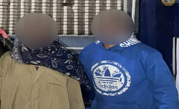 الداخلية تضبط سائق عربة «كارو» ومساعده لتعديهما على حصان وتحميله حمولة زائدة بالبساتين