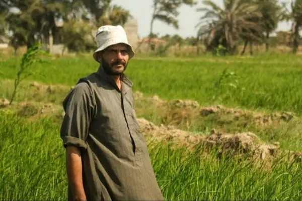 دعم الفلاح المصري على رأس أولويات الدولة.. صرف 3 مليارات جنيه لمزارعي القطن الأسبوع المقبل