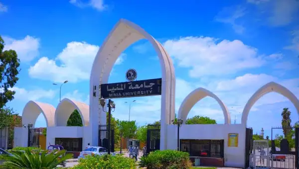 جامعة المنيا تعلن صرف مكافآت مالية لأعضاء هيئة التدريس والعاملين بقطاعات التعليم و المستشفيات