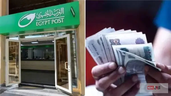 موعد صرف "تكافل وكرامة" أغسطس 2025 بالزيادة الجديدة – الدفع يبدأ يوم الجمعة 15 أغسطس