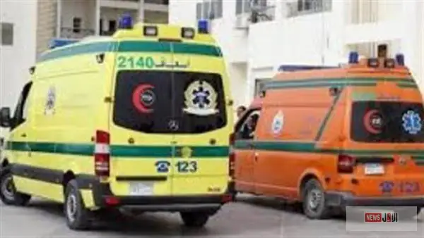 تفاصيل مأساة الطريق الصحراوي بالمنيا.. مصرع 6 وإصابة 15 في انقلاب أتوبيس
