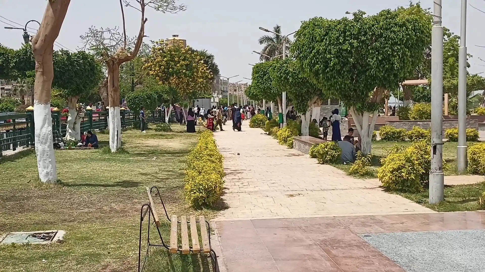 مرفق 356